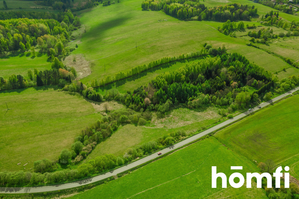 Działka rolna 3,28&nbsp;ha, Hoszowczyk - zdjęcie 3