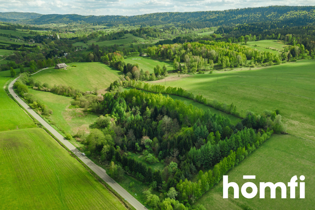 Działka rolna 3,28&nbsp;ha, Hoszowczyk - zdjęcie 12