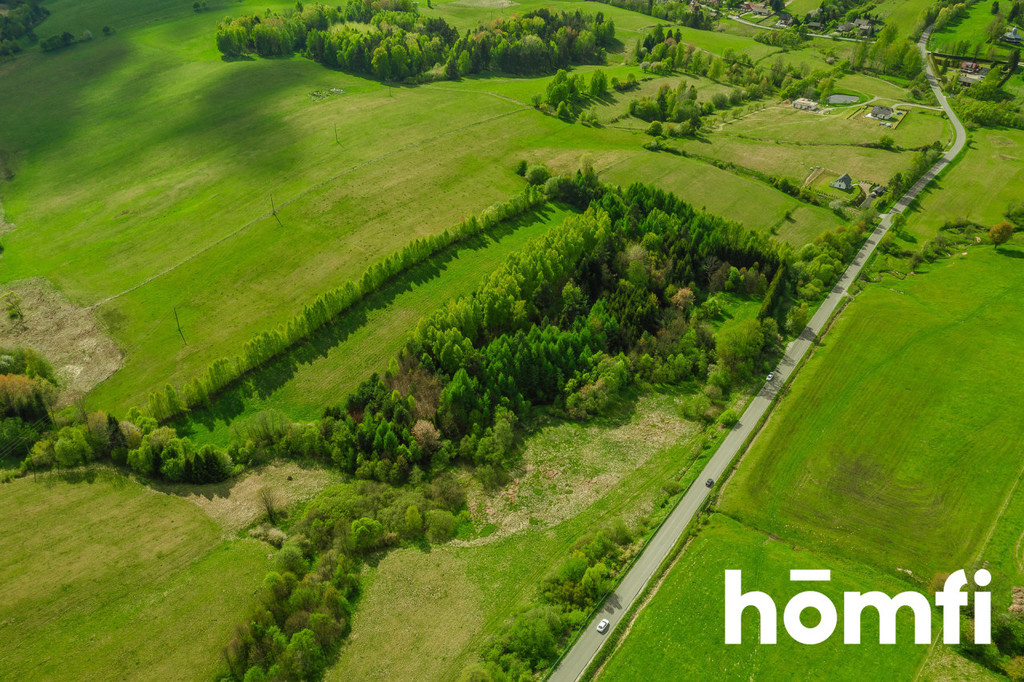 Działka rolna 3,28&nbsp;ha, Hoszowczyk - zdjęcie 4
