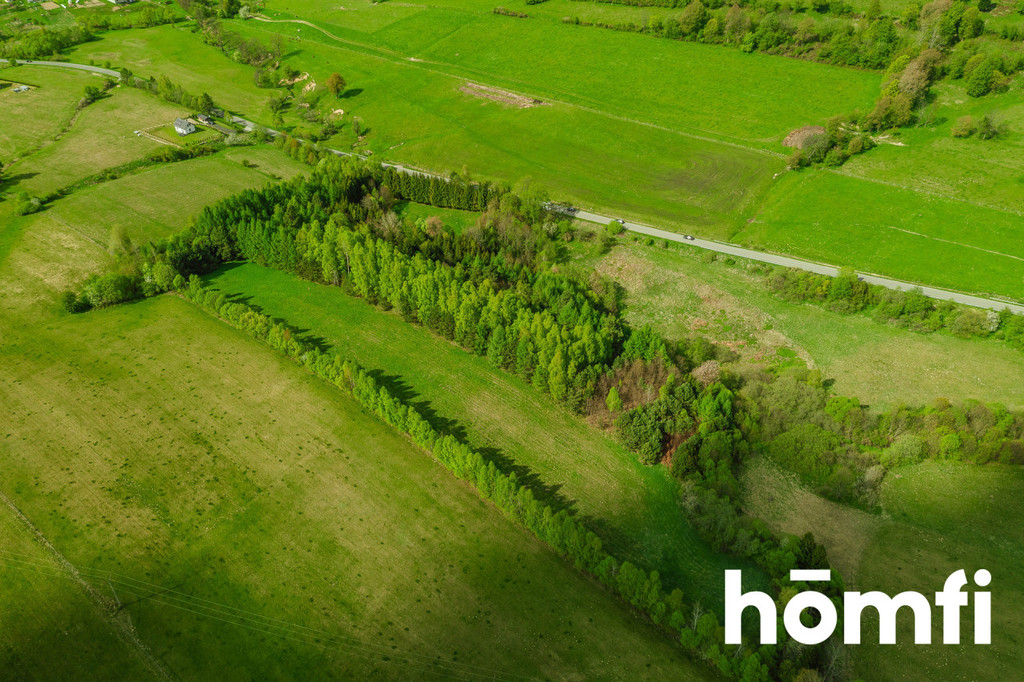 Działka rolna 3,28&nbsp;ha, Hoszowczyk - zdjęcie 8