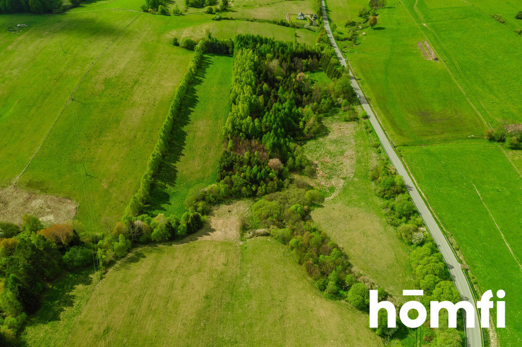 Działka rolna 3,28&nbsp;ha, Hoszowczyk - zdjęcie 5