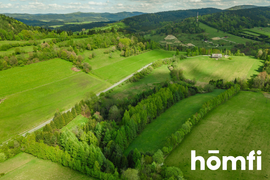 Działka rolna 3,28&nbsp;ha, Hoszowczyk - zdjęcie 10