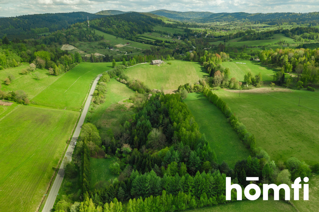 Działka rolna 3,28&nbsp;ha, Hoszowczyk - zdjęcie 11