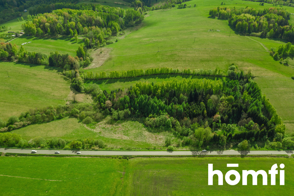 Działka rolna 3,28&nbsp;ha, Hoszowczyk - zdjęcie 2