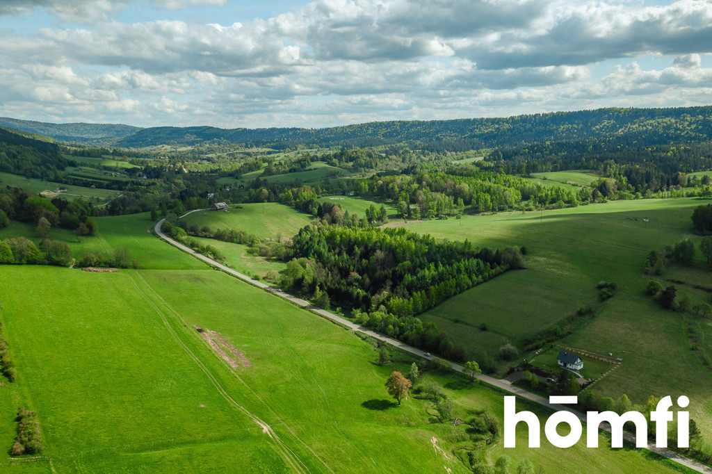 Działka rolna 3,28&nbsp;ha, Hoszowczyk - zdjęcie 14