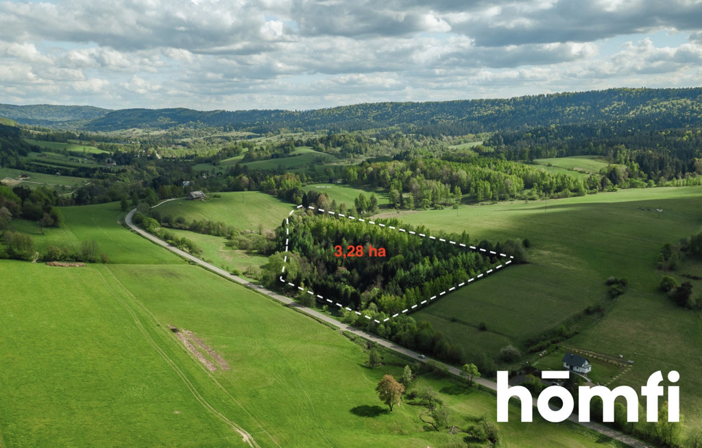 Działka rolna 3,28&nbsp;ha, Hoszowczyk - zdjęcie 13