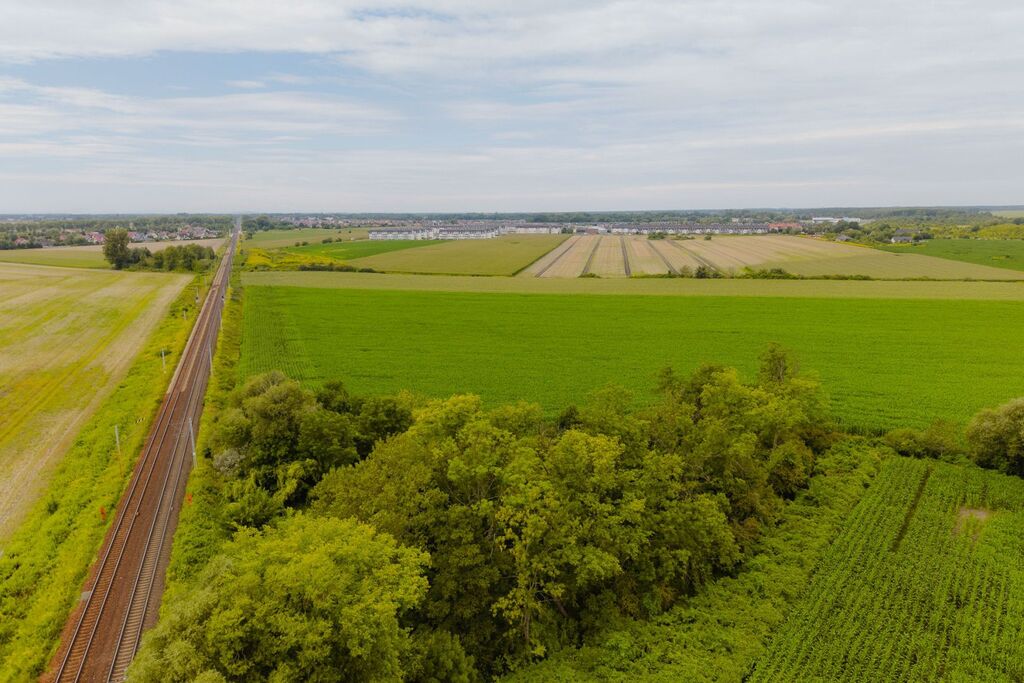 Działka rekreacyjna 1,03 ha, Wrocław - zdjęcie 12