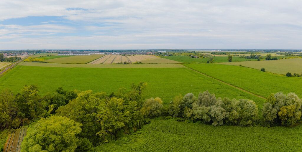 Działka rekreacyjna 7,61 ha, Wrocław - zdjęcie 7