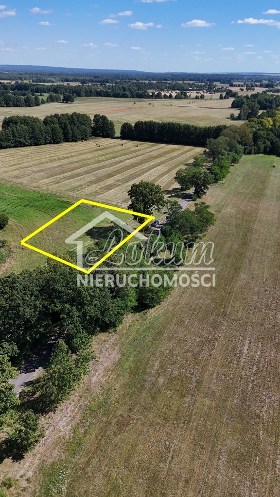 Działka budowlana 1102&nbsp;m², Rzędziny - zdjęcie 6