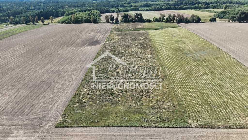 Działka rolna 2,98&nbsp;ha, Rutwica - zdjęcie 7