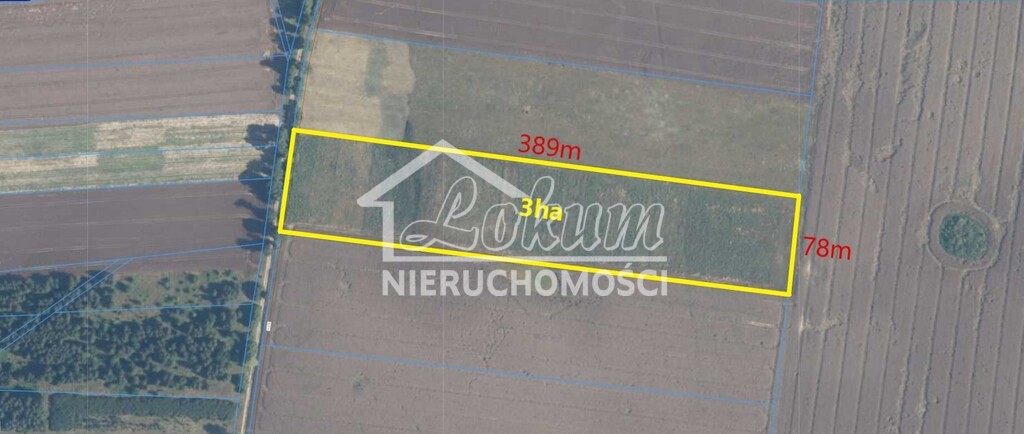 Działka rolna 2,98&nbsp;ha, Rutwica - zdjęcie 2