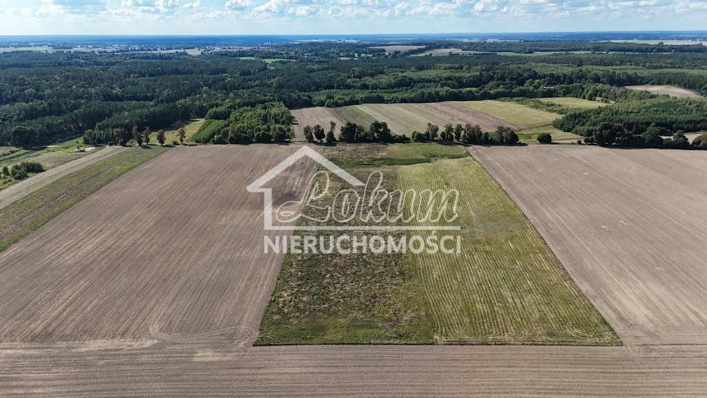 Działka rolna 2,98&nbsp;ha, Rutwica - zdjęcie 6
