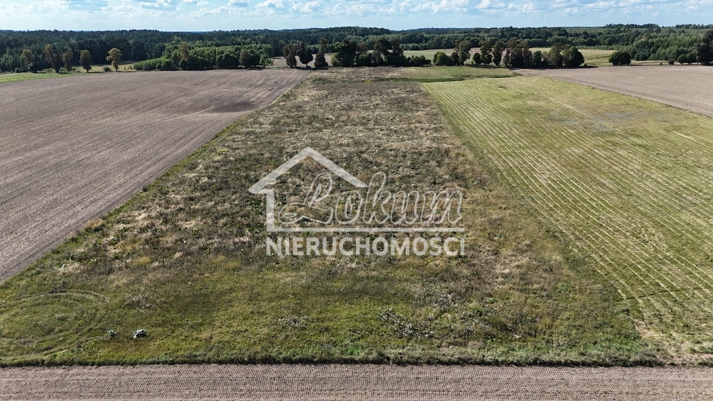 Działka rolna 2,98&nbsp;ha, Rutwica - zdjęcie 8