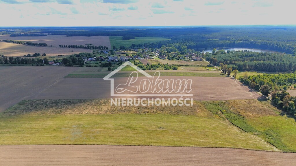 Działka rolna 2,98&nbsp;ha, Rutwica - zdjęcie 1