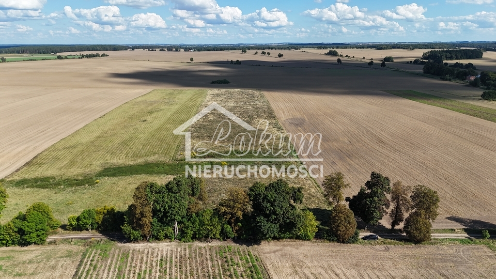 Działka rolna 2,98&nbsp;ha, Rutwica - zdjęcie 12
