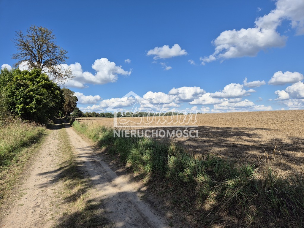 Działka rolna 2,98&nbsp;ha, Rutwica - zdjęcie 14