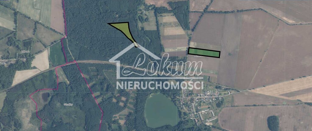 Działka rolna 2,98&nbsp;ha, Rutwica - zdjęcie 5