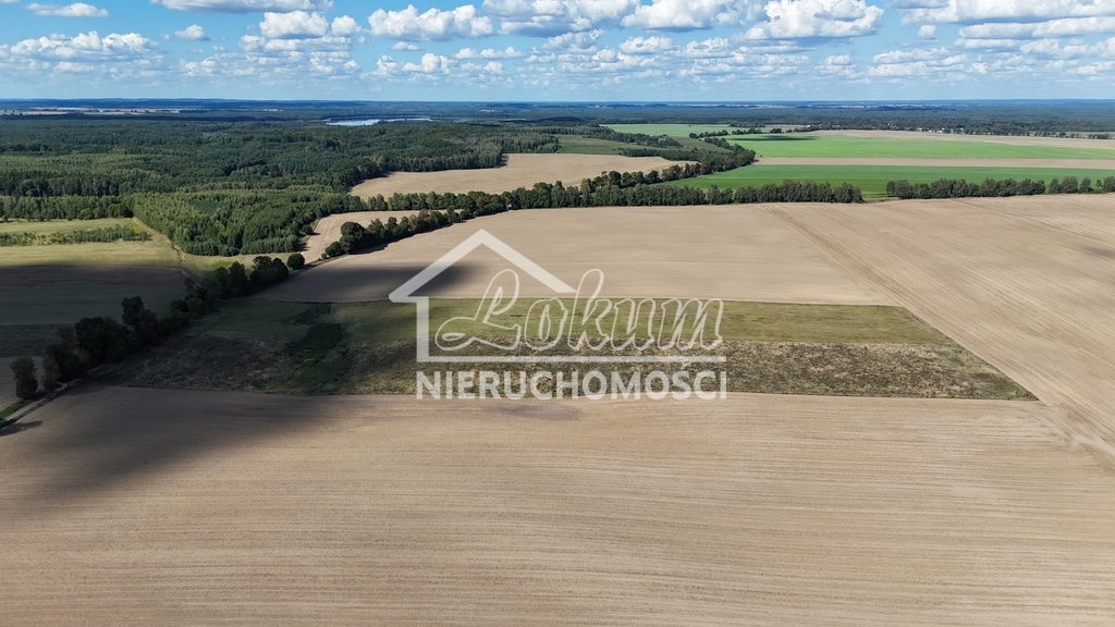 Działka rolna 2,98&nbsp;ha, Rutwica - zdjęcie 10