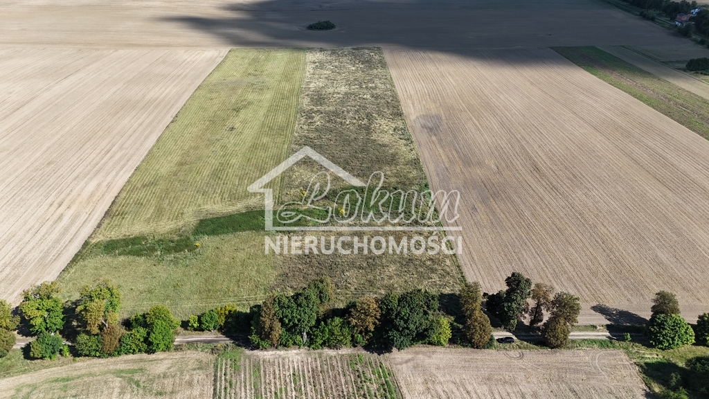 Działka rolna 2,98&nbsp;ha, Rutwica - zdjęcie 11