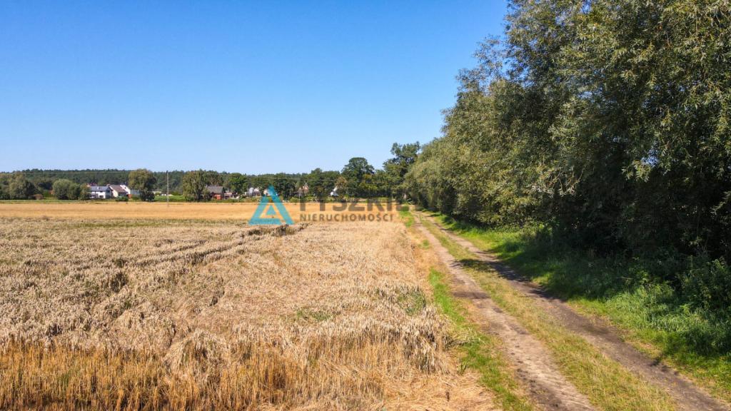 Działka osadnicze Gdańsk Świbno - zdjęcie 2