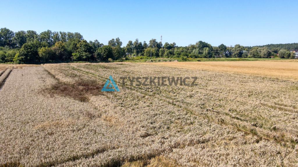 Działka osadnicze Gdańsk Świbno - zdjęcie 4