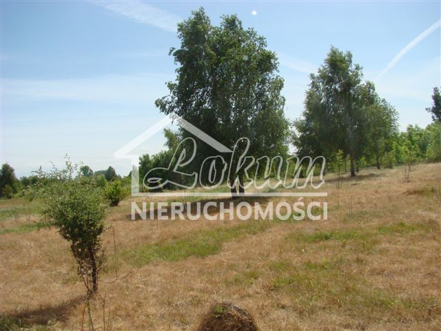 Działka budowlana 1250&nbsp;m², Stargard - zdjęcie 3