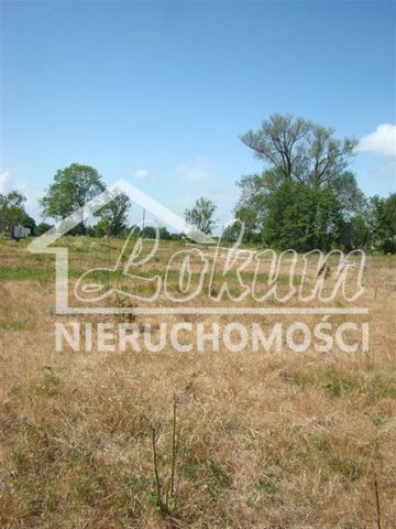 Działka budowlana 1250&nbsp;m², Stargard - zdjęcie 8
