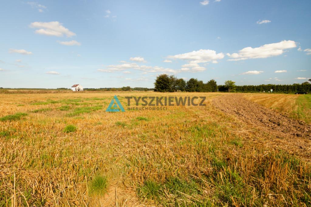 Działka Perlino gmina Gniewino - zdjęcie 11