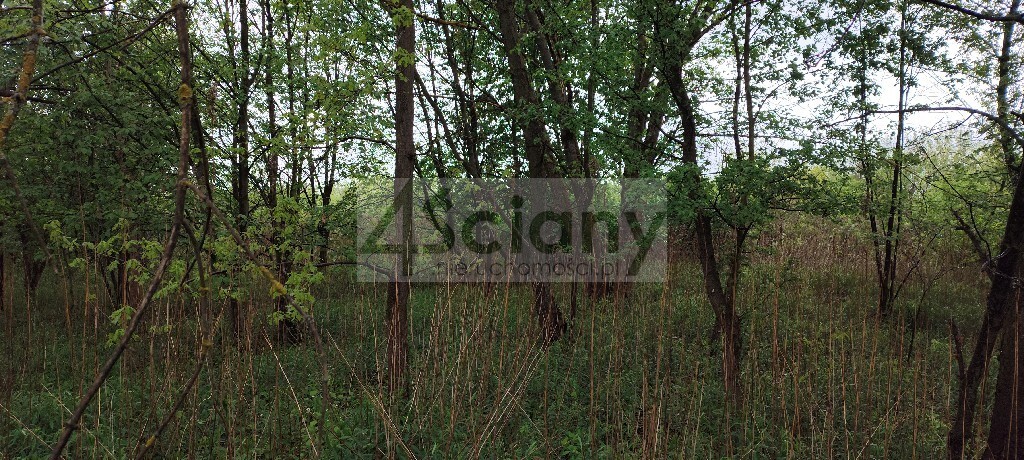 Działka budowlana 999&nbsp;m², Stanisławów Drugi - zdjęcie 1