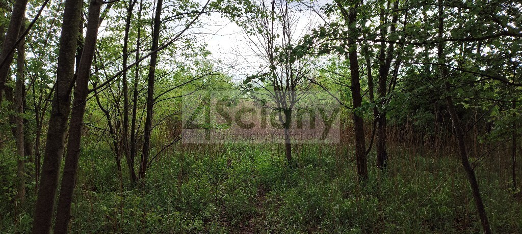 Działka budowlana 1274&nbsp;m², Stanisławów Drugi - zdjęcie 1