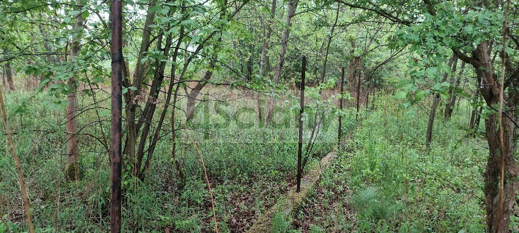 Działka budowlana 1274&nbsp;m², Stanisławów Drugi - zdjęcie 2