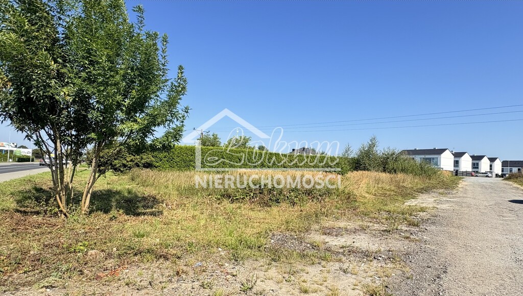 Działka budowlana 1268&nbsp;m², Przęsocin - zdjęcie 4