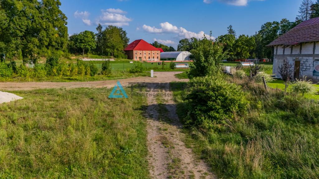 Malownicze działki budowlane w Niepoględziu - zdjęcie 29
