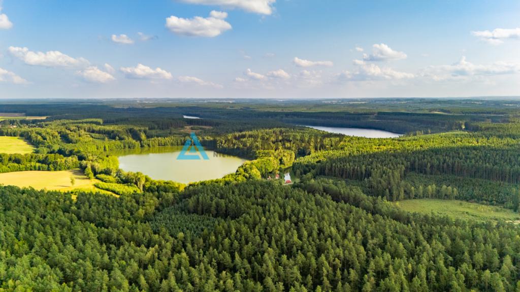 Malownicze działki budowlane w Niepoględziu - zdjęcie 6