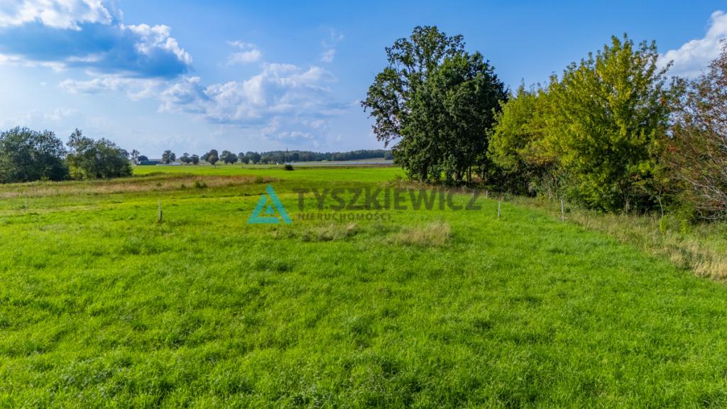 Malownicze działki budowlane w Niepoględziu - zdjęcie 27