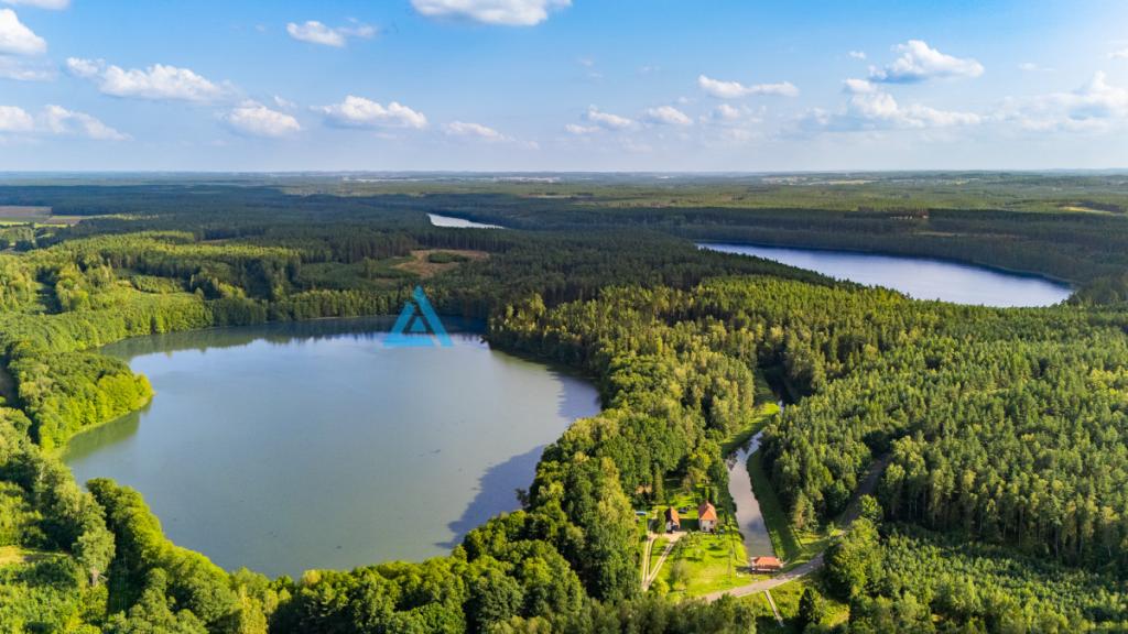 Malownicze działki budowlane w Niepoględziu - zdjęcie 7