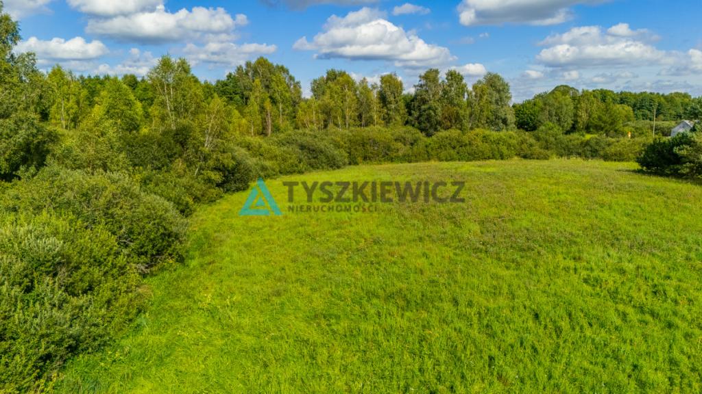 Piękna działka siedliskowa Głodowo - zdjęcie 8