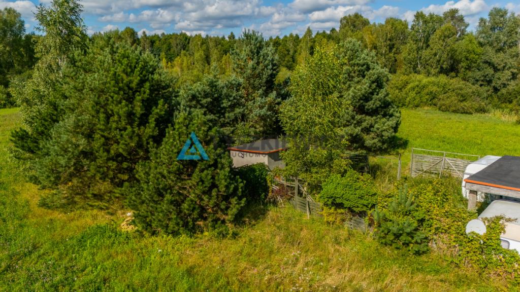 Piękna działka siedliskowa Głodowo - zdjęcie 13
