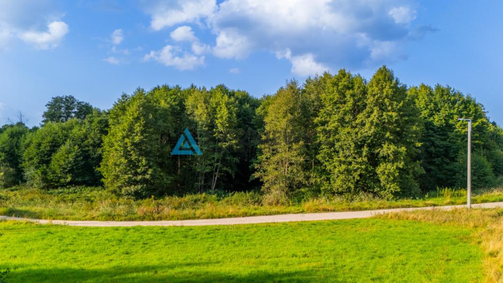 Działka z potencjałem w centrum Skorzewa! - zdjęcie 10
