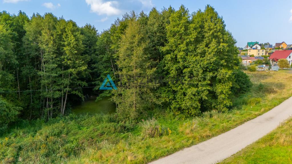 Działka z potencjałem w centrum Skorzewa! - zdjęcie 18