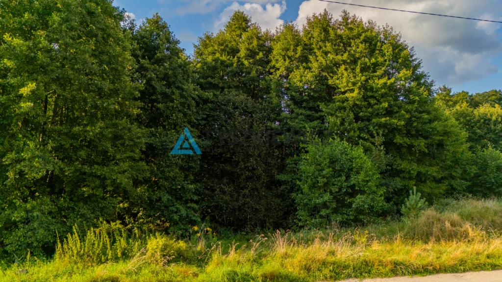 Działka z potencjałem w centrum Skorzewa! - zdjęcie 21