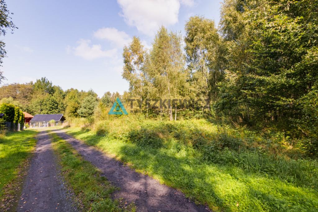 Działka 2171 m² - Salinko - zdjęcie 9