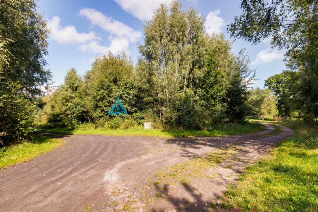 Działka 2171 m² - Salinko - zdjęcie 8