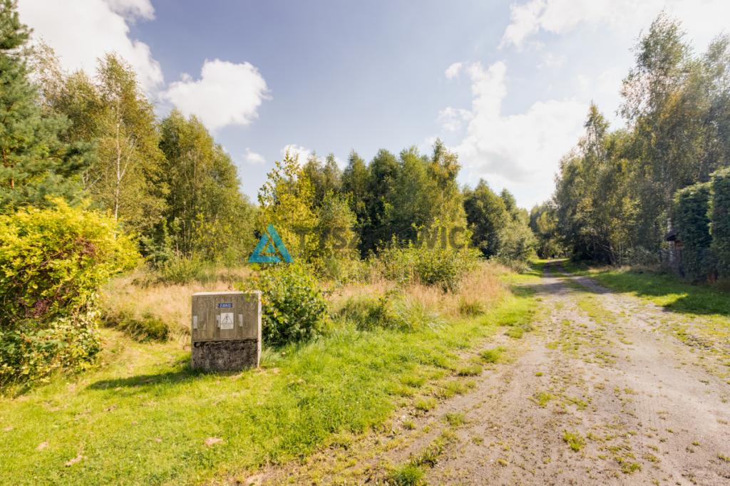 Działka 2171 m² - Salinko - zdjęcie 10