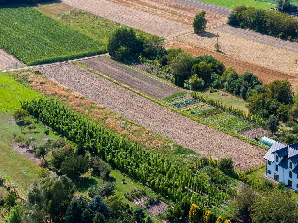 Działka budowlana 3817&nbsp;m², Zielonki, Na Łąki - zdjęcie 11