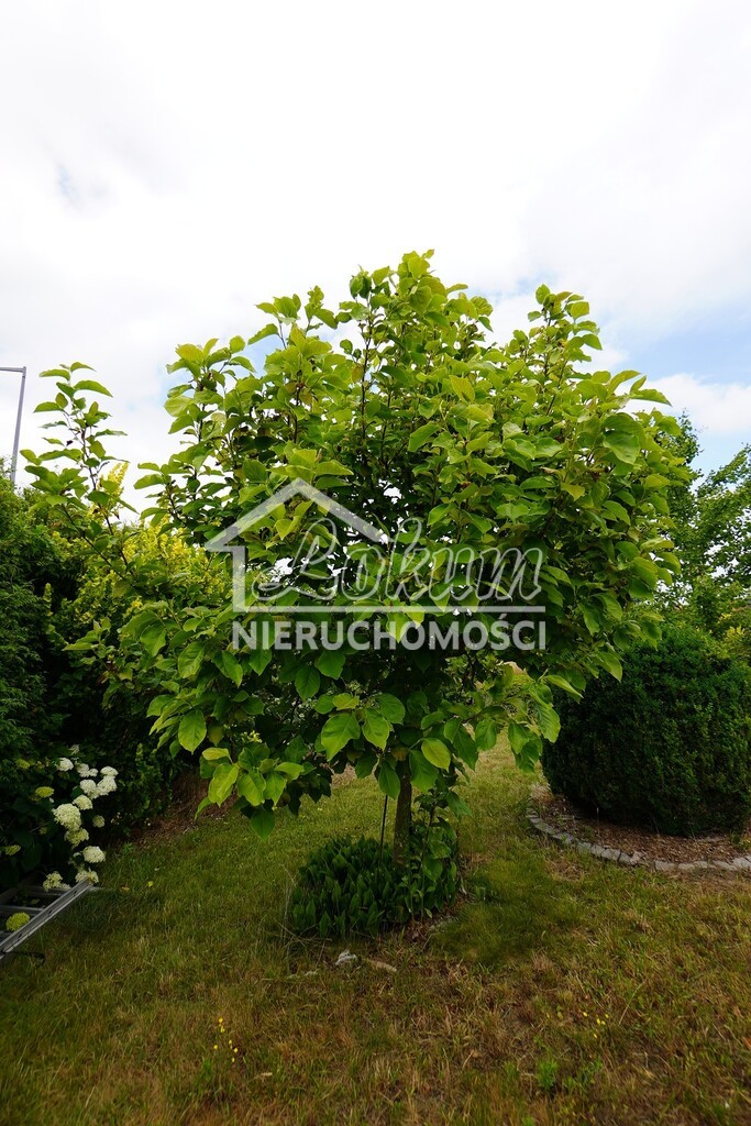 Działka budowlana 1185&nbsp;m², Gorzów Wielkopolski - zdjęcie 4