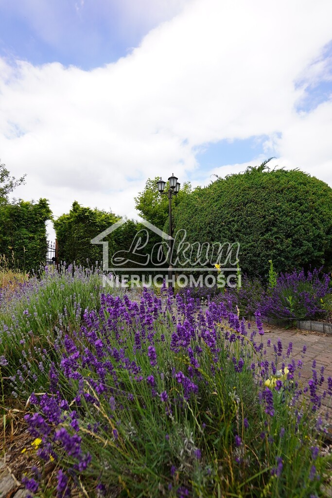 Działka budowlana 1185&nbsp;m², Gorzów Wielkopolski - zdjęcie 3