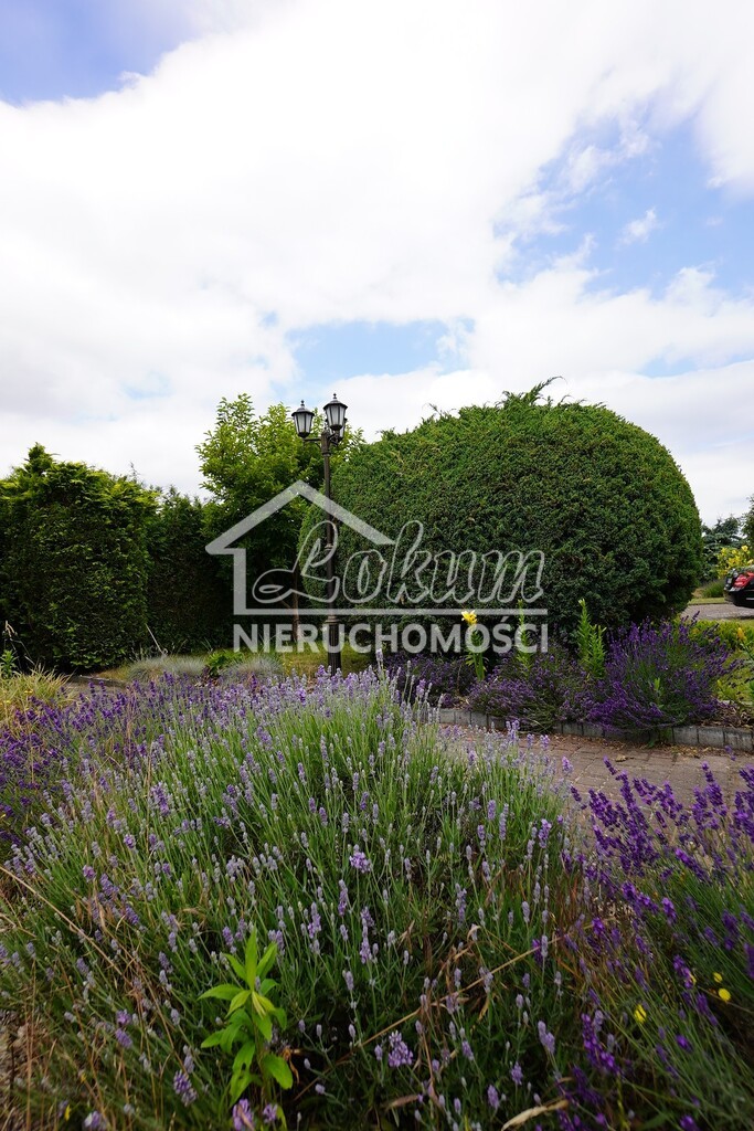 Działka budowlana 1185&nbsp;m², Gorzów Wielkopolski - zdjęcie 2