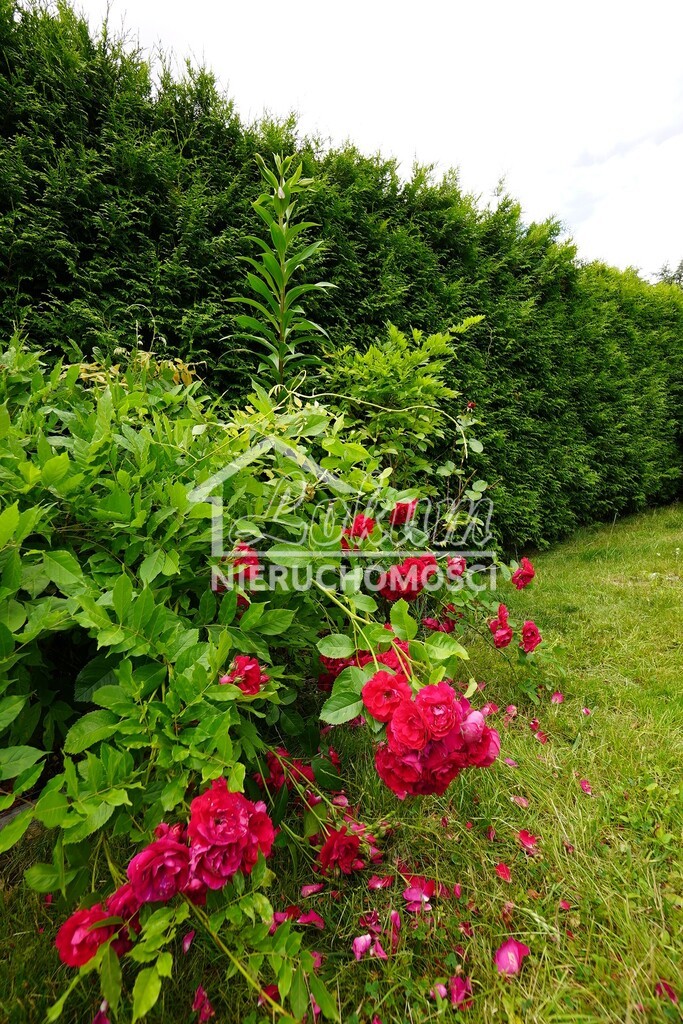 Dom 266,6&nbsp;m², Gorzów Wielkopolski, Żwirowa - zdjęcie 3