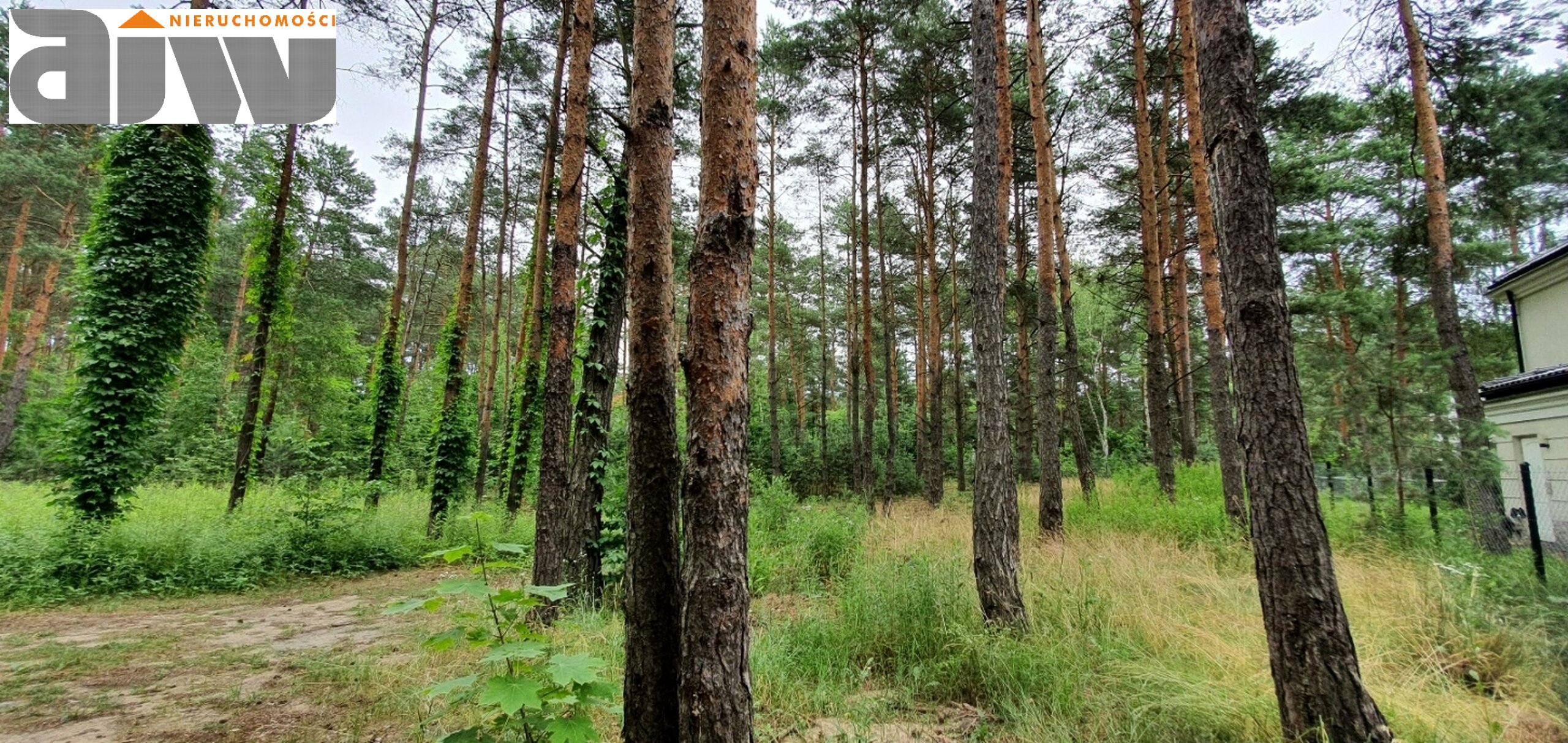 Hornówek działka 2370 m2 - zdjęcie 2